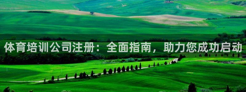 尊龙现金d88：体育培训公司注册：全面指南，助力您成