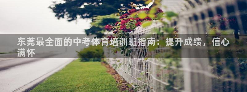 尊龙z6.con：东莞最全面的中考体育培训班指南：提