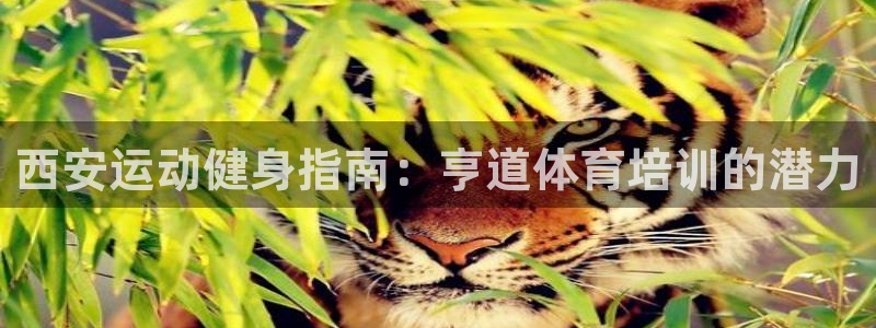 尊龙凯时网页版：西安运动健身指南：亨道体育培训的潜力