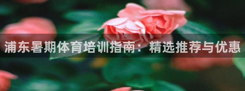 尊龙凯时客服：浦东暑期体育培训指南：精选推荐与优惠