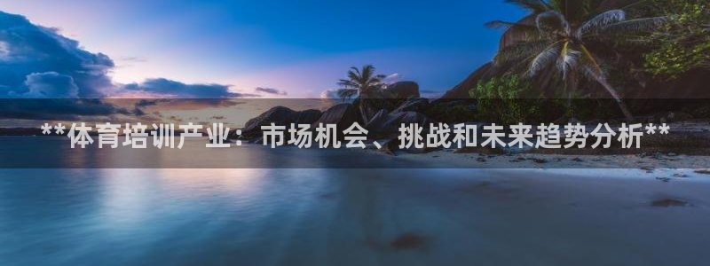 尊龙凯时输钱的原因：**体育培训产业：市场机会、挑战