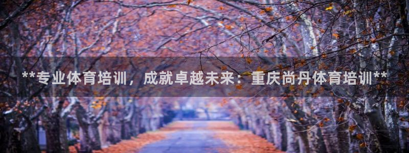尊龙凯时 人生就是搏客服：**专业体育培训，成就卓越
