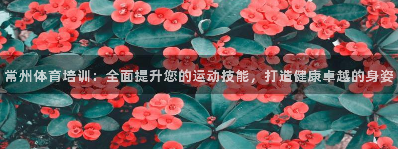 尊龙人生就是博手机版下载：常州体育培训：全面提升您的