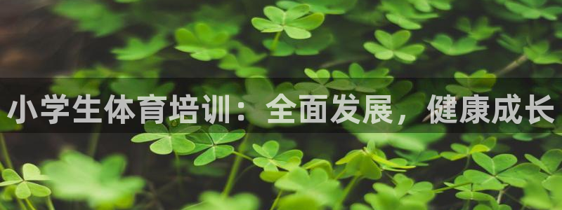尊龙目前照片：小学生体育培训：全面发展，健康成长