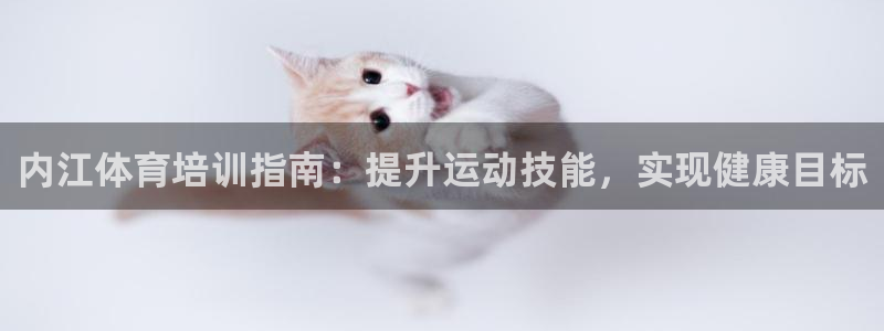 尊龙凯时取款24小时不到账：内江体育培训指南：提升运