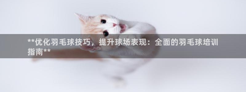 尊龙凯时开发：**优化羽毛球技巧，提升球场表现：全面