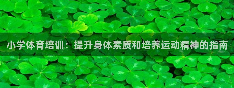 尊龙凯时处理未到账：小学体育培训：提升身体素质和培养