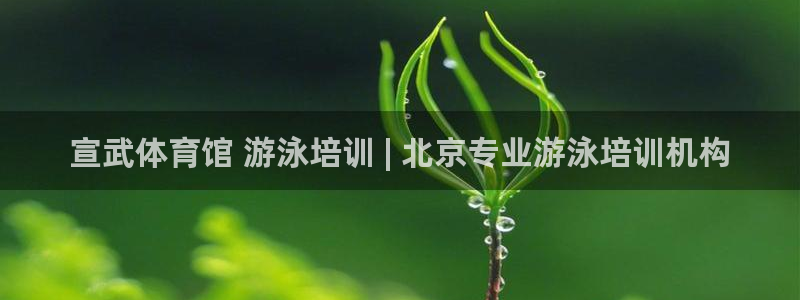 尊龙人生就是博现金：宣武体育馆 游泳培训 | 北京专
