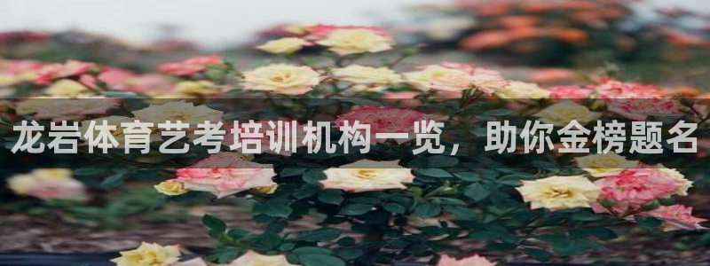 尊龙官网首页：龙岩体育艺考培训机构一览，助你金榜题名