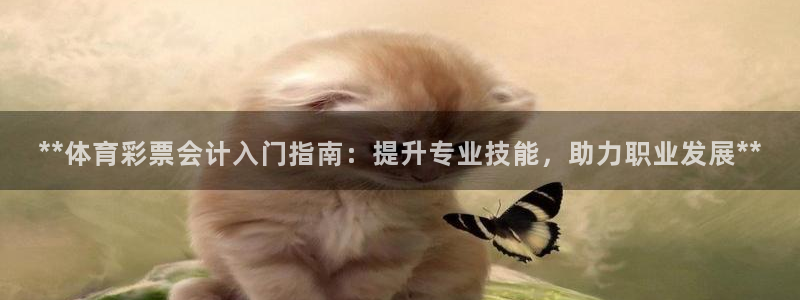 尊龙官网免费下载安卓：**体育彩票会计入门指南：提升