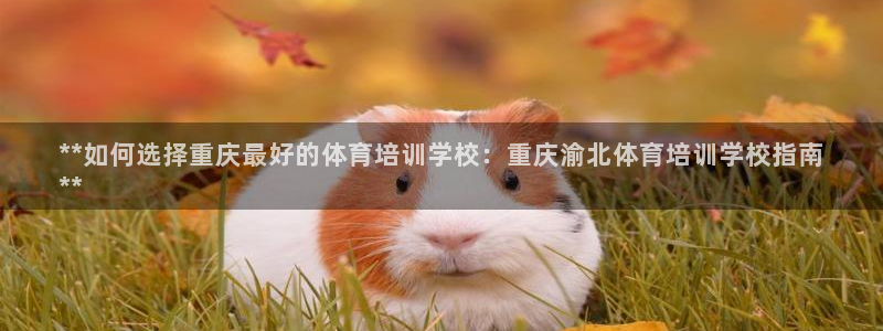 尊龙凯时麻将胡了：**如何选择重庆最好的体育培训学校