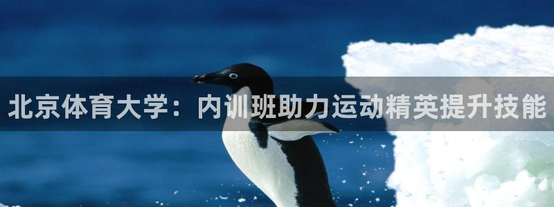 凯时旗舰厅App下载：北京体育大学：内训班助力运动精