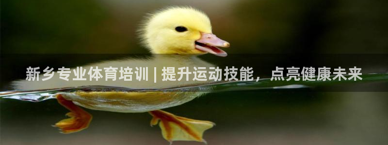z6尊龙官方网站：新乡专业体育培训 | 提升运动技能