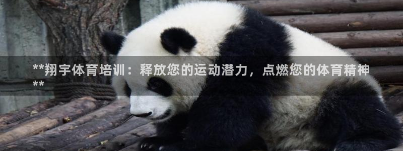 百度一下尊龙：**翔宇体育培训：释放您的运动潜力，点