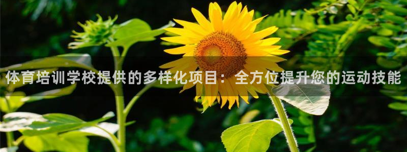 尊龙人生就是博ag旗舰厅：体育培训学校提供的多样化项