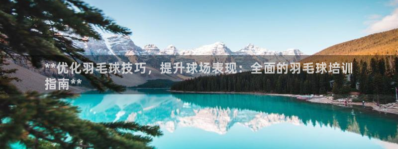 尊龙l1500：**优化羽毛球技巧，提升球场表现：全