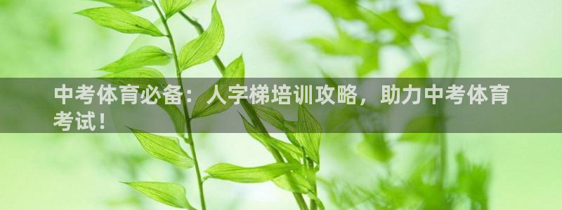 凯时平台app：中考体育必备：人字梯培训攻略，助力中