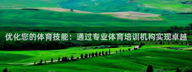 尊龙凯时网站怎么样：优化您的体育技能：通过专业体育培