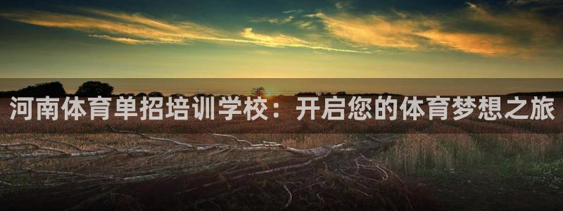 尊龙手机官方客户端下载安卓：河南体育单招培训学校：开