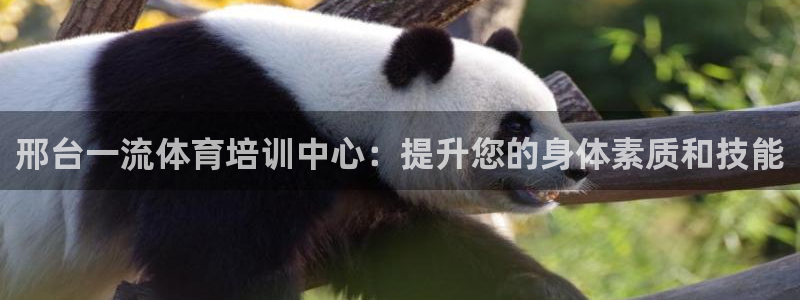 凯时官网手机版首页：邢台一流体育培训中心：提升您的身