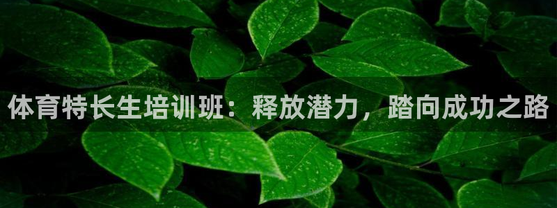尊龙人生就是博ag：体育特长生培训班：释放潜力，踏向