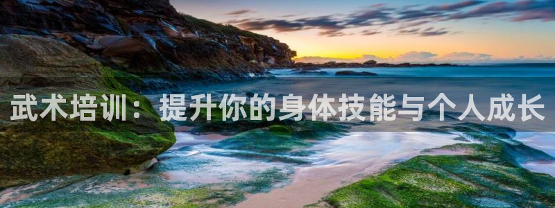 d88尊龙凯时：武术培训：提升你的身体技能与个人成长