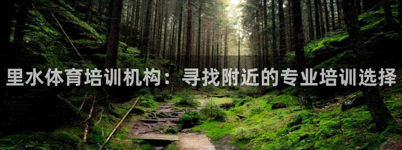 尊龙凯时ag旗舰厅试玩：里水体育培训机构：寻找附近的