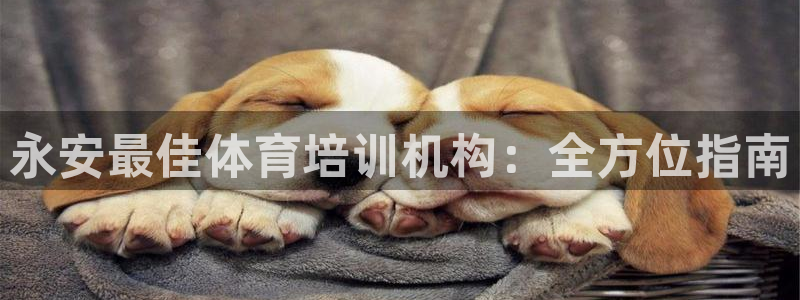 尊龙官网首页：永安最佳体育培训机构：全方位指南