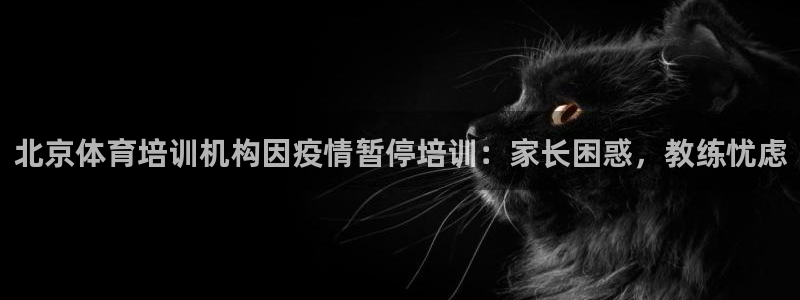 尊龙t600怎么样：北京体育培训机构因疫情暂停培训：