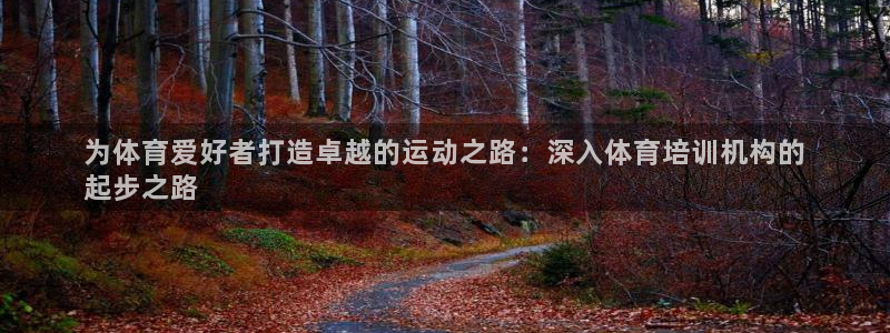 尊龙凯时下载链接：为体育爱好者打造卓越的运动之路：深