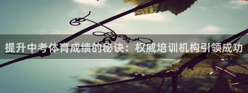 凯时APP官网首页：提升中考体育成绩的秘诀：权威培训