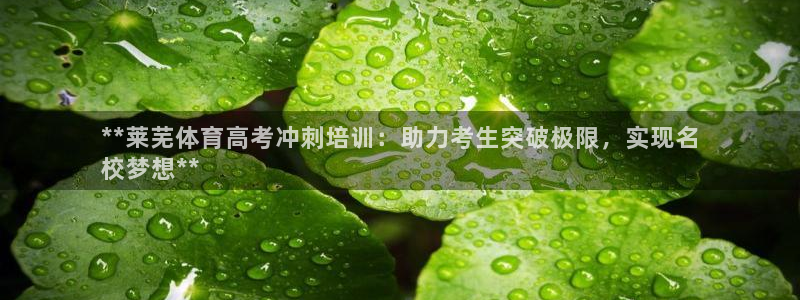 尊龙凯时旗舰厅官网：**莱芜体育高考冲刺培训：助力考