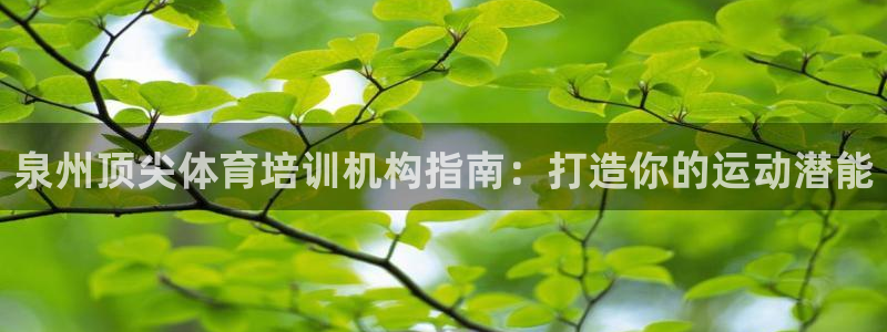 尊龙凯时出款：泉州顶尖体育培训机构指南：打造你的运动