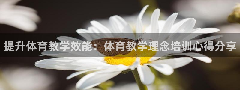 尊龙电子：提升体育教学效能：体育教学理念培训心得分享