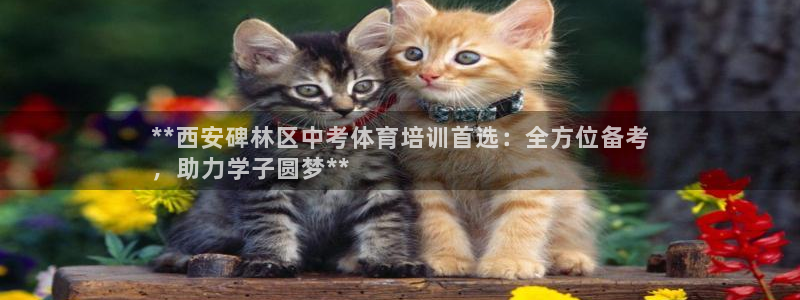 尊龙人生就是博旗舰厅：**西安碑林区中考体育培训首选