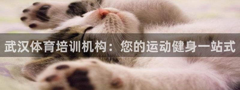 尊龙新版官网网页版：武汉体育培训机构：您的运动健身一