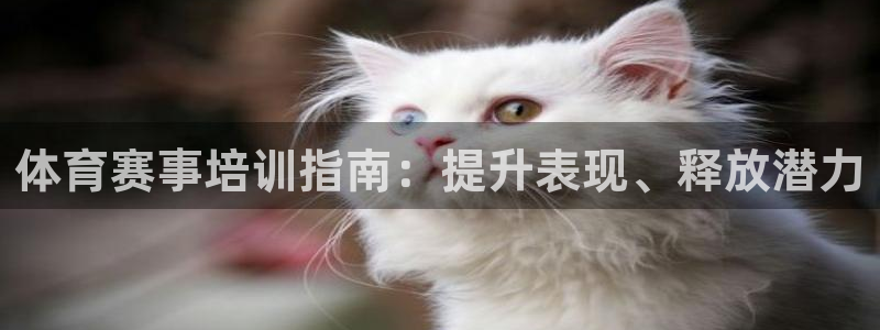 尊龙人生就是博登录首页：体育赛事培训指南：提升表现、
