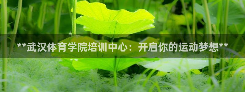 尊龙专访：**武汉体育学院培训中心：开启你的运动梦想