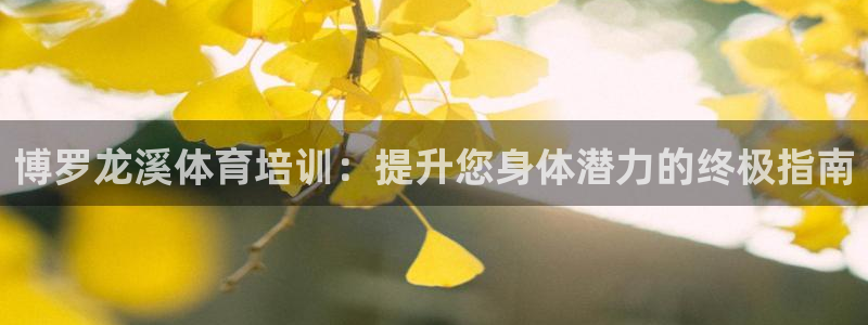 尊龙凯时凯发官网：博罗龙溪体育培训：提升您身体潜力的