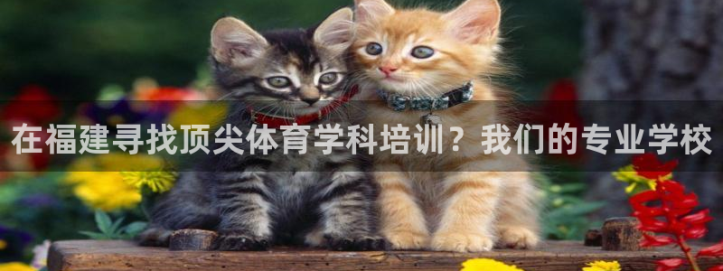 尊龙凯时人生就是搏!官网：在福建寻找顶尖体育学科培训