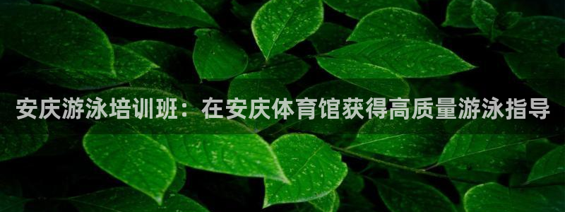 尊龙凯时口碑好吗：安庆游泳培训班：在安庆体育馆获得高