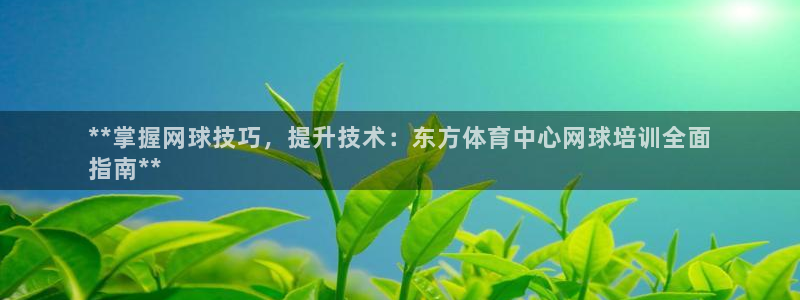 尊龙凯时官方网站下载：**掌握网球技巧，提升技术：东