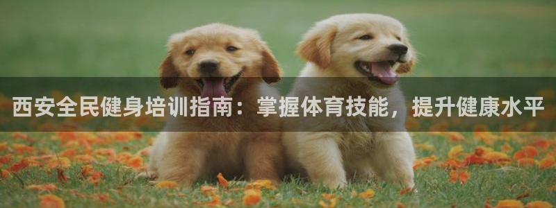 尊龙人生就是博登陆：西安全民健身培训指南：掌握体育技
