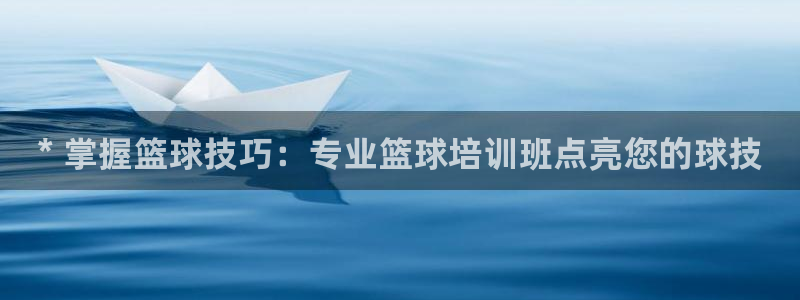 尊龙官网国际：* 掌握篮球技巧：专业篮球培训班点亮您