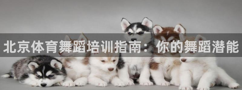尊龙app下载官网：北京体育舞蹈培训指南：你的舞蹈潜