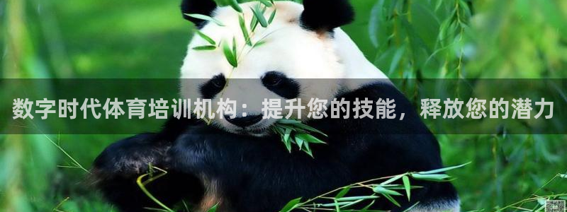 尊龙一人生就是搏：数字时代体育培训机构：提升您的技能