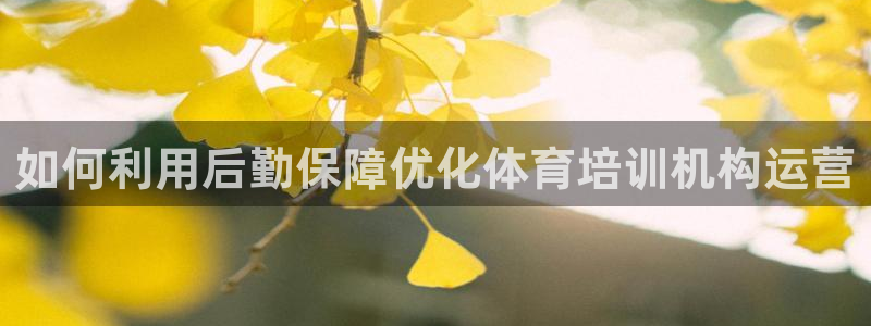 尊龙凯时app安装：如何利用后勤保障优化体育培训机构