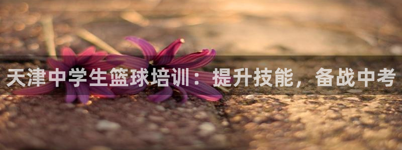 凯时国际平台有人赢吗：天津中学生篮球培训：提升技能，