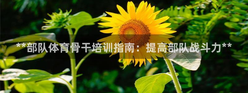 尊龙官方平台：**部队体育骨干培训指南：提高部队战斗