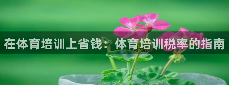 尊龙d88平台登录：在体育培训上省钱：体育培训税率的